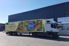2 Achs Sattelauflieger mit Zwangslenkung und Kofferaufbau für Blumentransport (2)