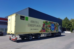 2 Achs Sattelauflieger mit Zwangslenkung und Kofferaufbau für  Blumentransport (5)